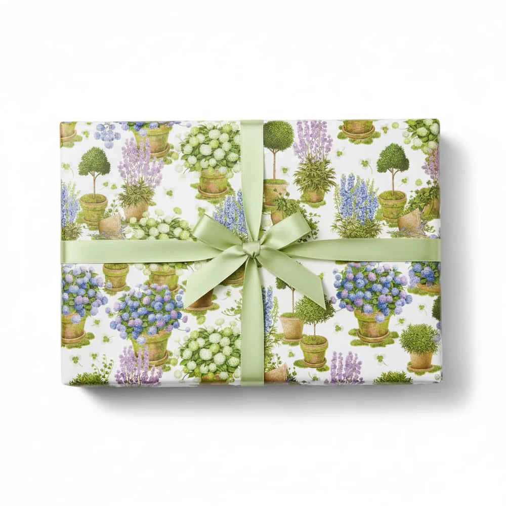 Potted Hydrangea Gift Wrap