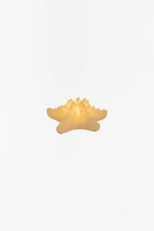 Starfish _ Light