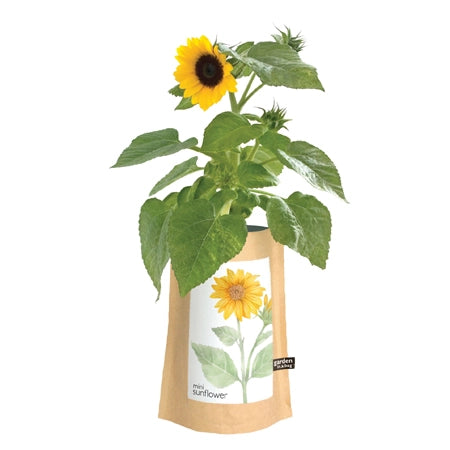 Kraft Bag with Sunflower seeds inside. Label on front is a giant sunflower
