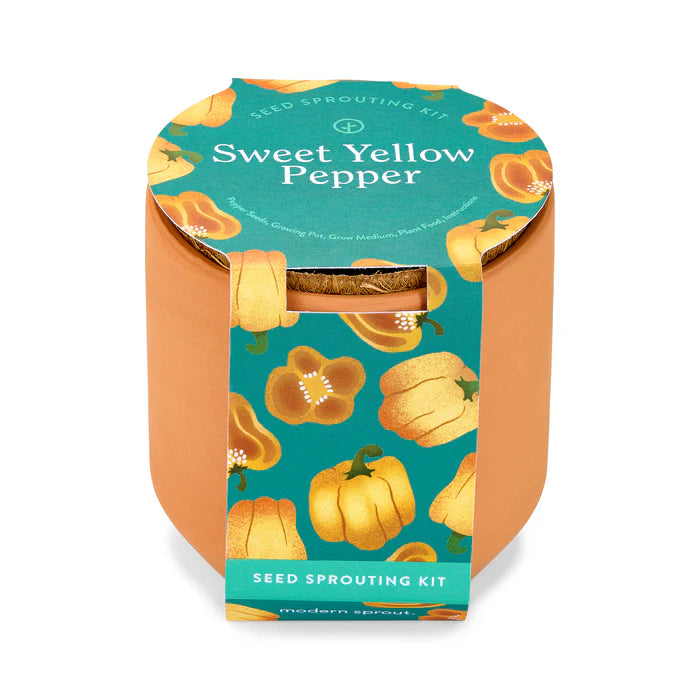 Seed sprouting kit for sweet yellow peppers in a tiny terracotta pot with a yellow bell peppers deign