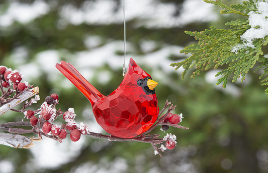 Cardinal Red Acrylic Ornament