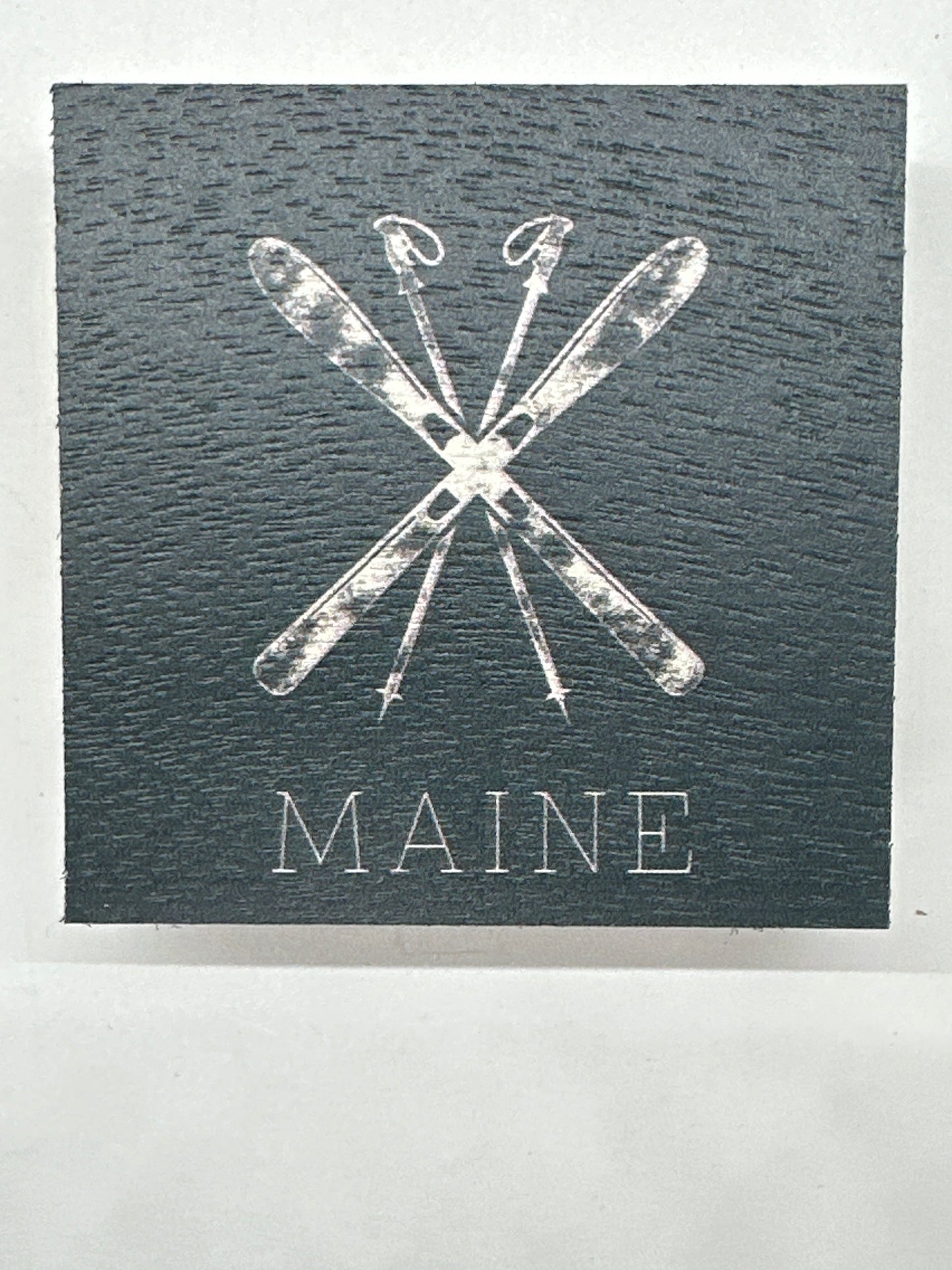 Maine Ski Coaster Set