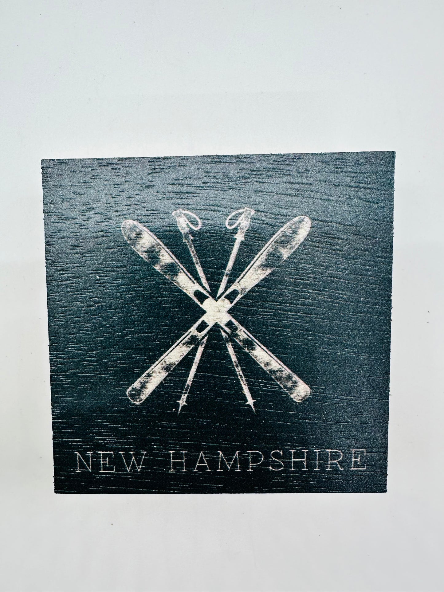 New Hampshire Ski Coaster Set