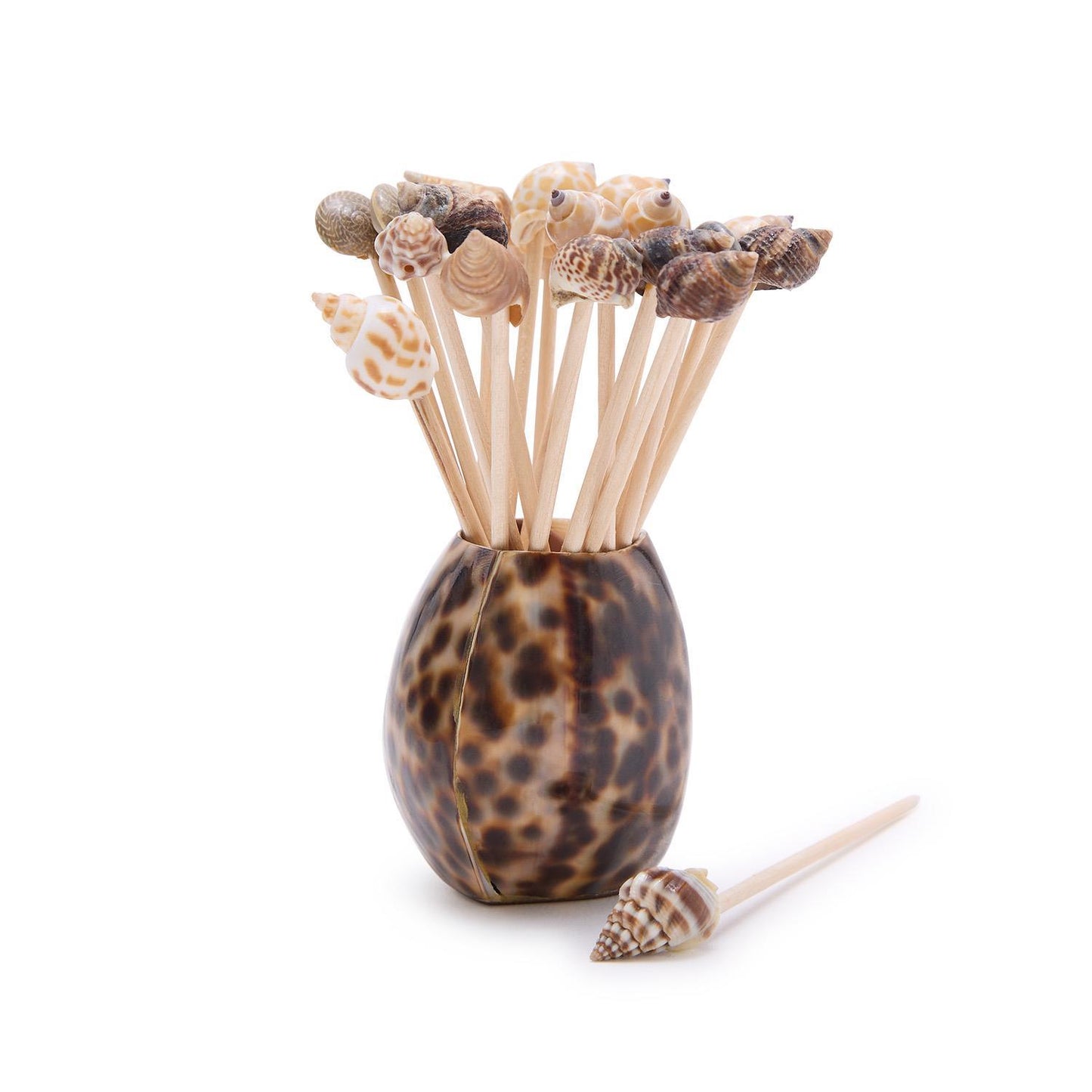 Tiger Cowrie Shell Pick