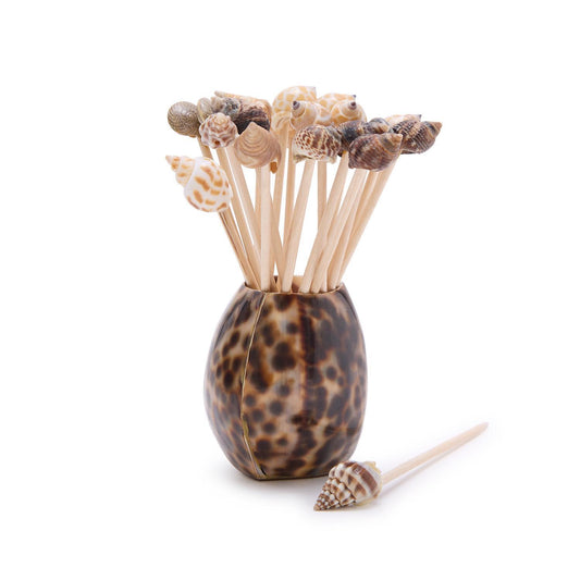tiger Cowrie pick holder with toothpick topped with different types of seashells  