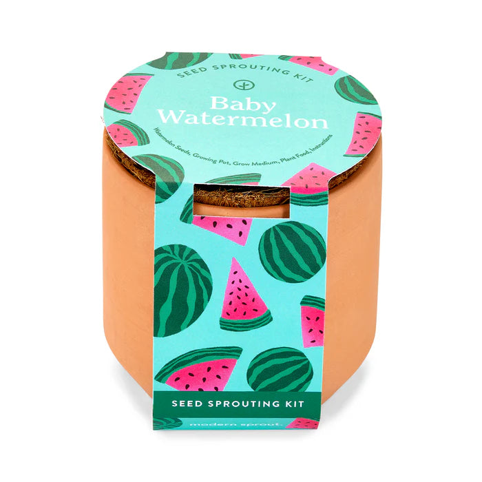 Seed sprouting kit in a mini terracotta pot with a baby watermelon design