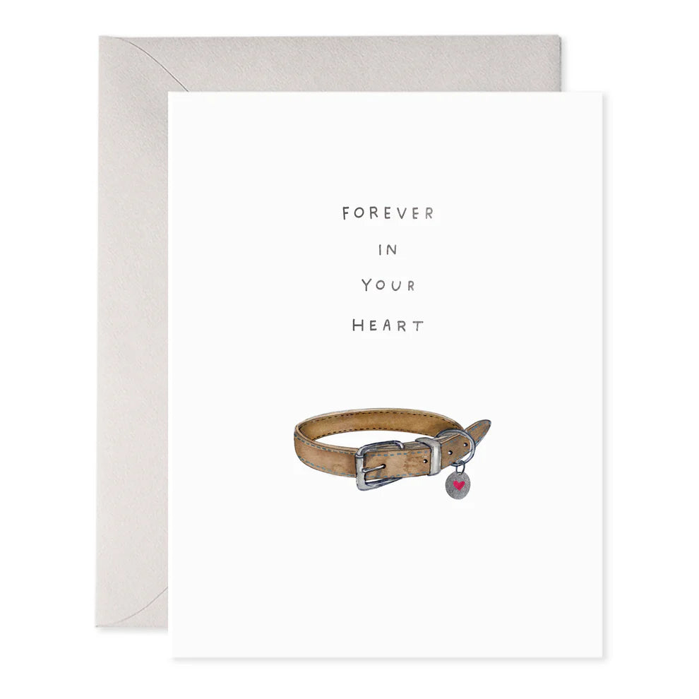 Pet Collar Sympathy
