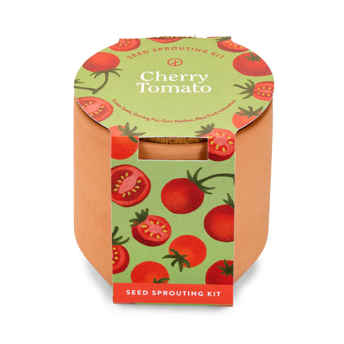 Seed sprouting cherry tomato kit in a tiny terracotta pot with cherry tomato design