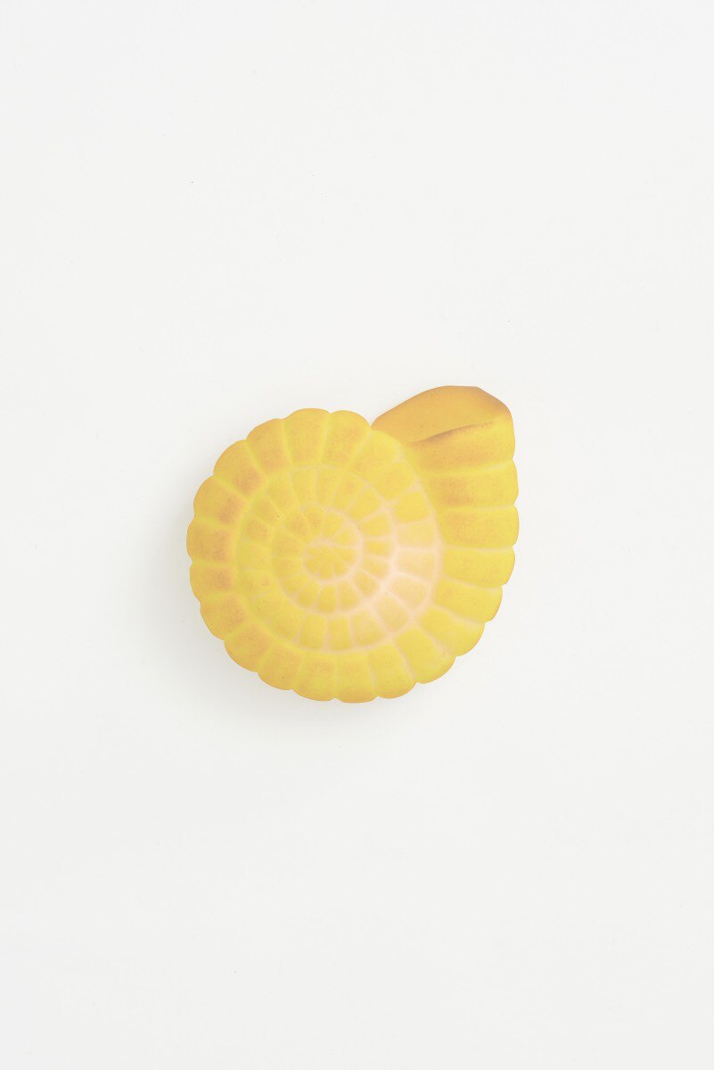 Nautilus-shaped light