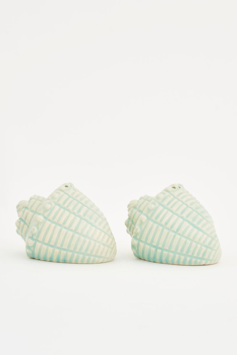 Set of aqua and white seashell-shaped salt and pepper shakers 