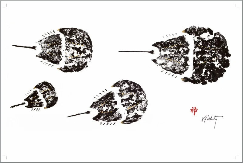 Fishaye Placemats