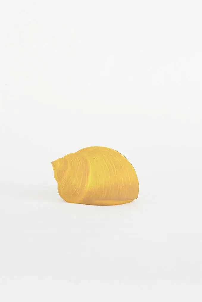 Seashell shaped light