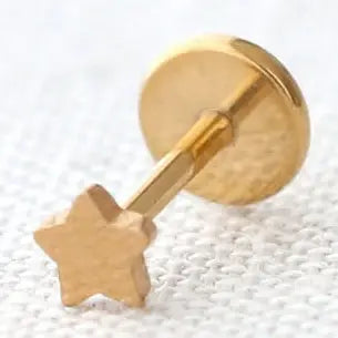 Star Titanium Flat Stud Earring