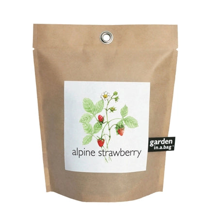 Kraft Bag with Strawberry Seeds inside.  Label is white with image of strawberries