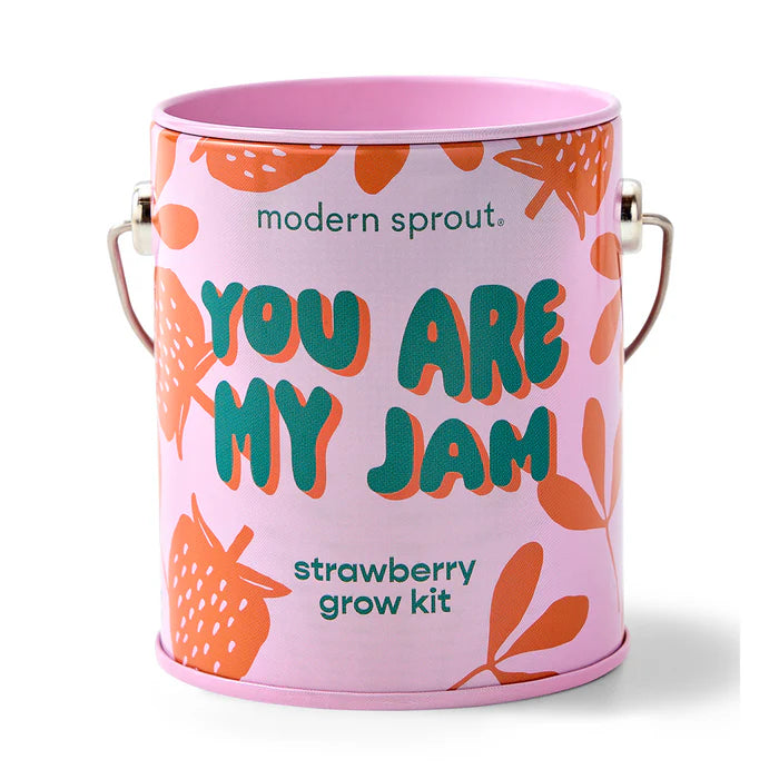 Strawberry grow kit in pink paint can with red strawberries and "you are my Jam' in teal letters