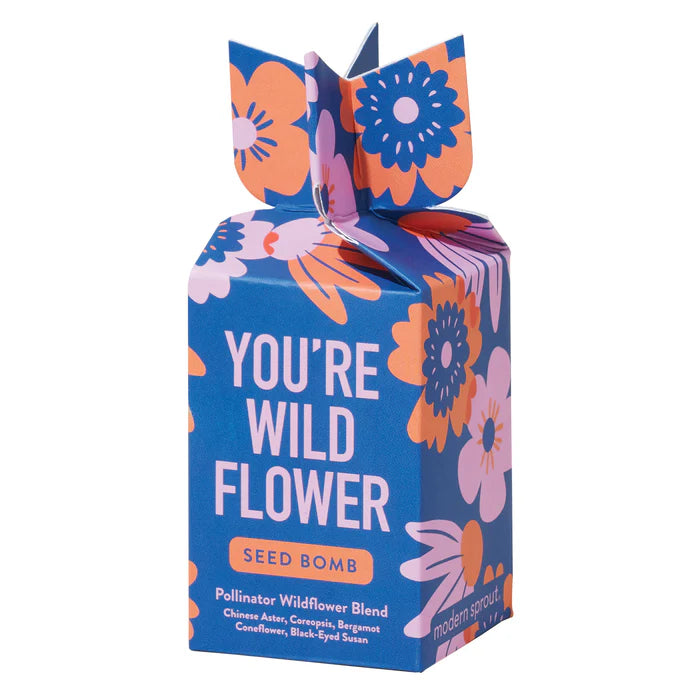 Colorful box containing a seed bomb and the text 'You're Wild Flower' with blue, orange and pink floral designs