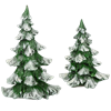 Snowy Pine Tree