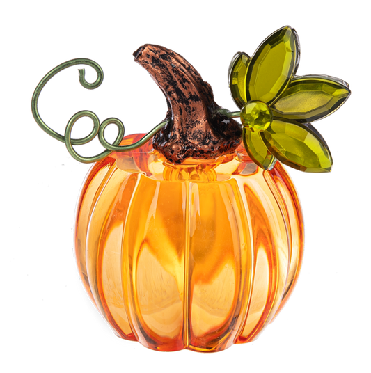 Pumpkin Acrylic _ Mini