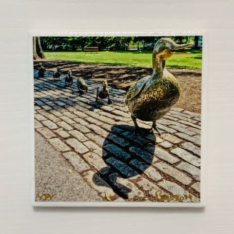 Make Way For The Ducklings Coaster
